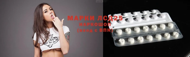 прущие крисы Арсеньев