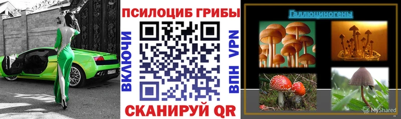 даркнет Telegram  цены   блэк спрут ссылка  Саяногорск  Галлюциногенные грибы Cubensis 